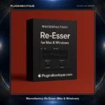 Wavesfactory Re-Esser (Mac & Windows) | Transparent De-Esser Plugin – PluginsBoutique