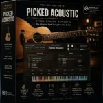 SESSION GUITARIST PICKED ACOUSTIC
