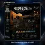 Native Instruments SESSION GUITARIST – PICKED ACOUSTIC Kontakt Library